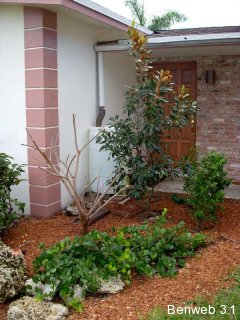 rainbarrel_hiding.jpg