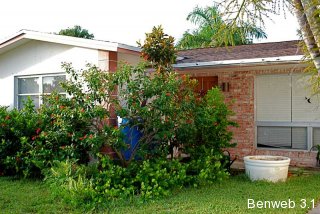 rainbarrel_jatropha.jpg
