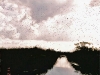 LoxNWR_Birds