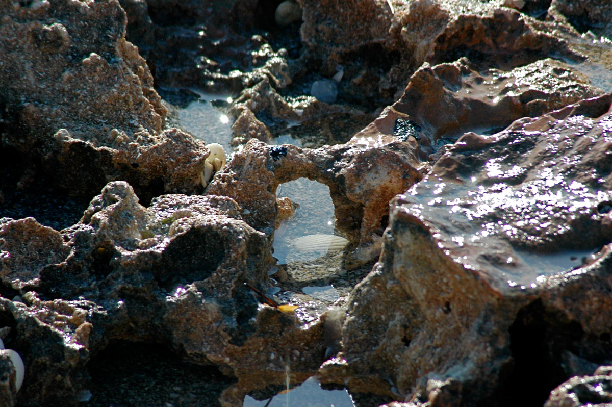 Blowing Rocks Florida