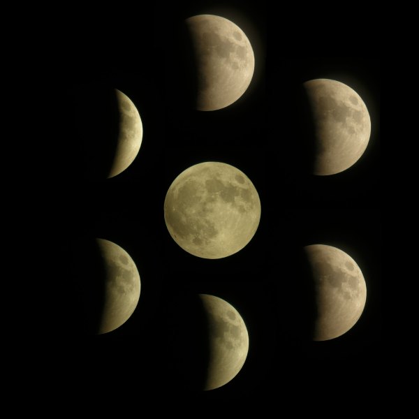 Composite of seven digiscoped images of the lunar eclipse of September 27, 2015, as seen from Boca Raton, FL.