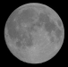 November 20, 2010 Full moon
