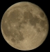 May 29, 2010 Full moon