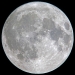March 8, 2012 Full moon