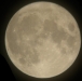March 30, 2010, Full moon