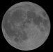 Full moon, January 19, 2011