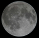 January 8, 2012 Full moon