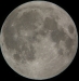January 30, 2010, Full moon