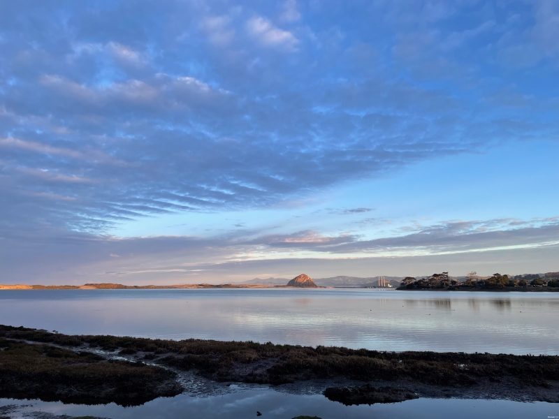 Morro Bay from Sweet Springs Nature Preserve, Los Oso, February 3, 2024