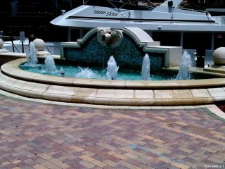 fll_fountain.jpg