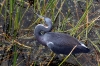 trhe_20111125