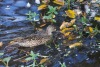 bwte_20220102