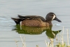 bwte_20230208