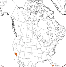North American distribution of >E. taeniops. From the BSC website.