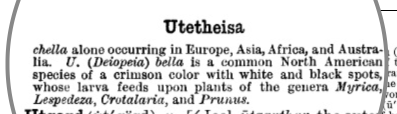 Uthethesia definition in the Century Dictionary online (continued)